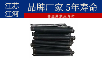 非金属蒙皮寿命-品牌厂家5年寿命[S36沙龙会]