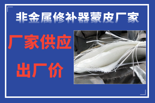 非金属修补器蒙皮厂家-厂家供应出厂价[S36沙龙会]