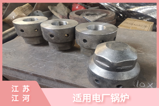 锅炉流化床风帽-适用哪种行业[S36沙龙会]