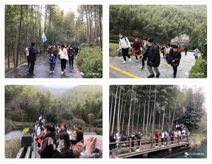 江苏S36沙龙会女神节的旅游纪录