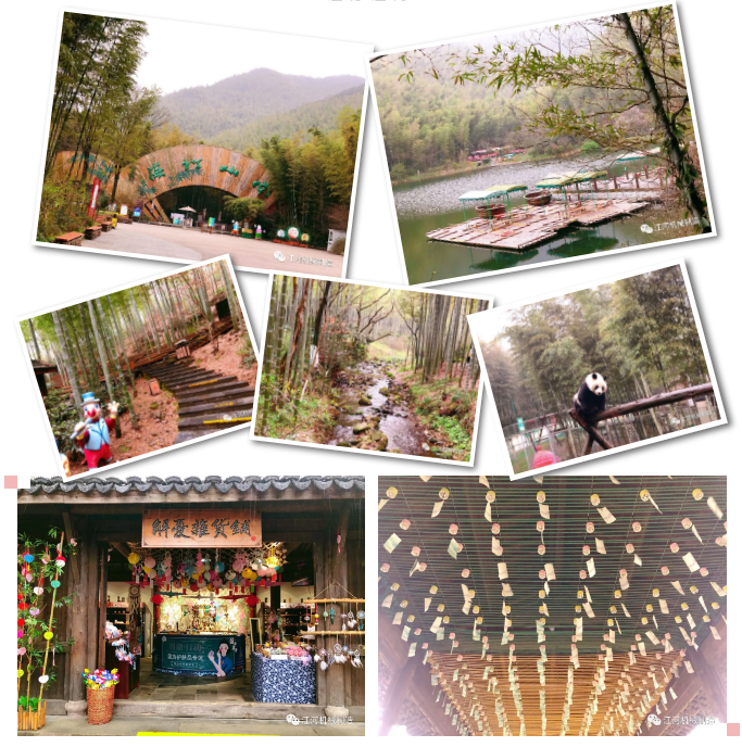 江苏S36沙龙会女神节的旅游纪录